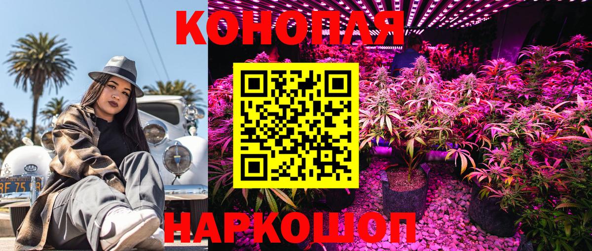 Конопля Bruce Banner Железноводск